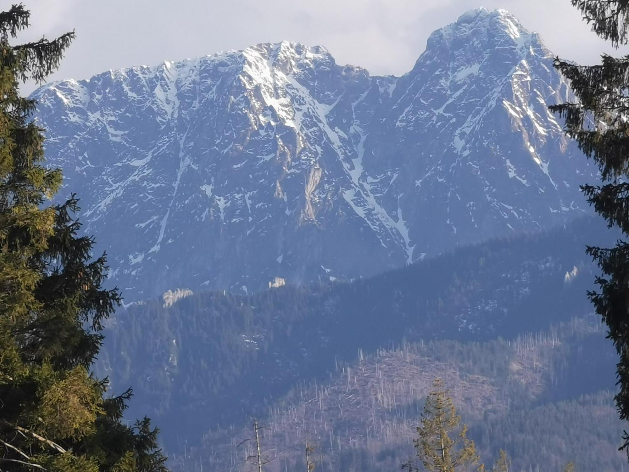 Malowany Domek W Gorach Ciche (Nowy Targ) Exterior foto